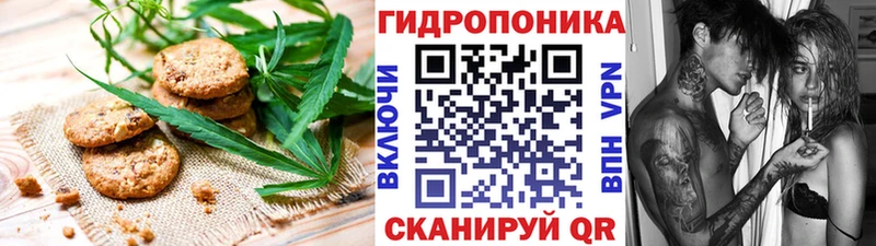 Canna-Cookies конопля  blacksprut ссылка  Раменское 