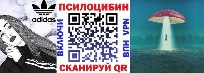 Галлюциногенные грибы Psilocybine cubensis  Раменское 